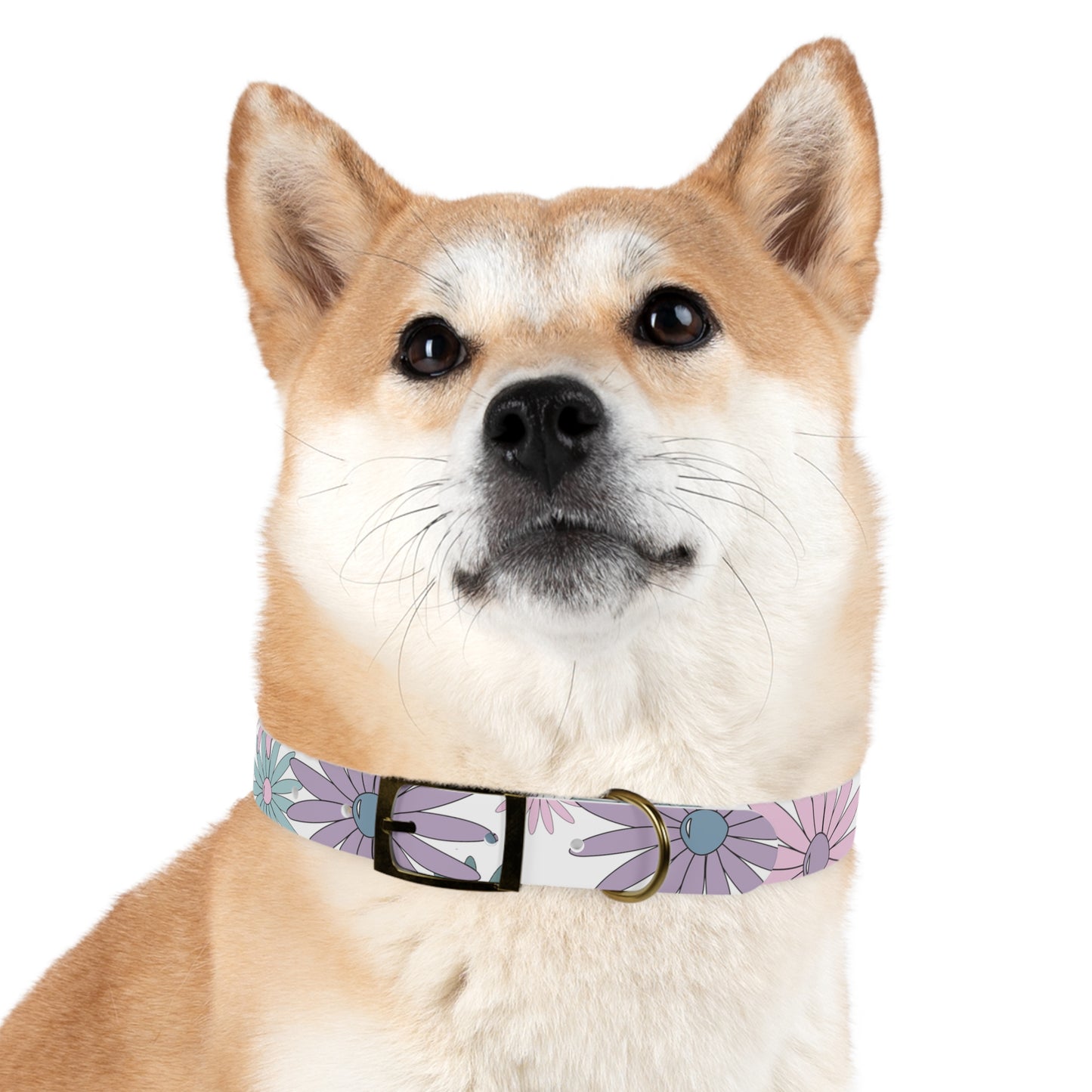 Pastel Daisy's Dog Collar