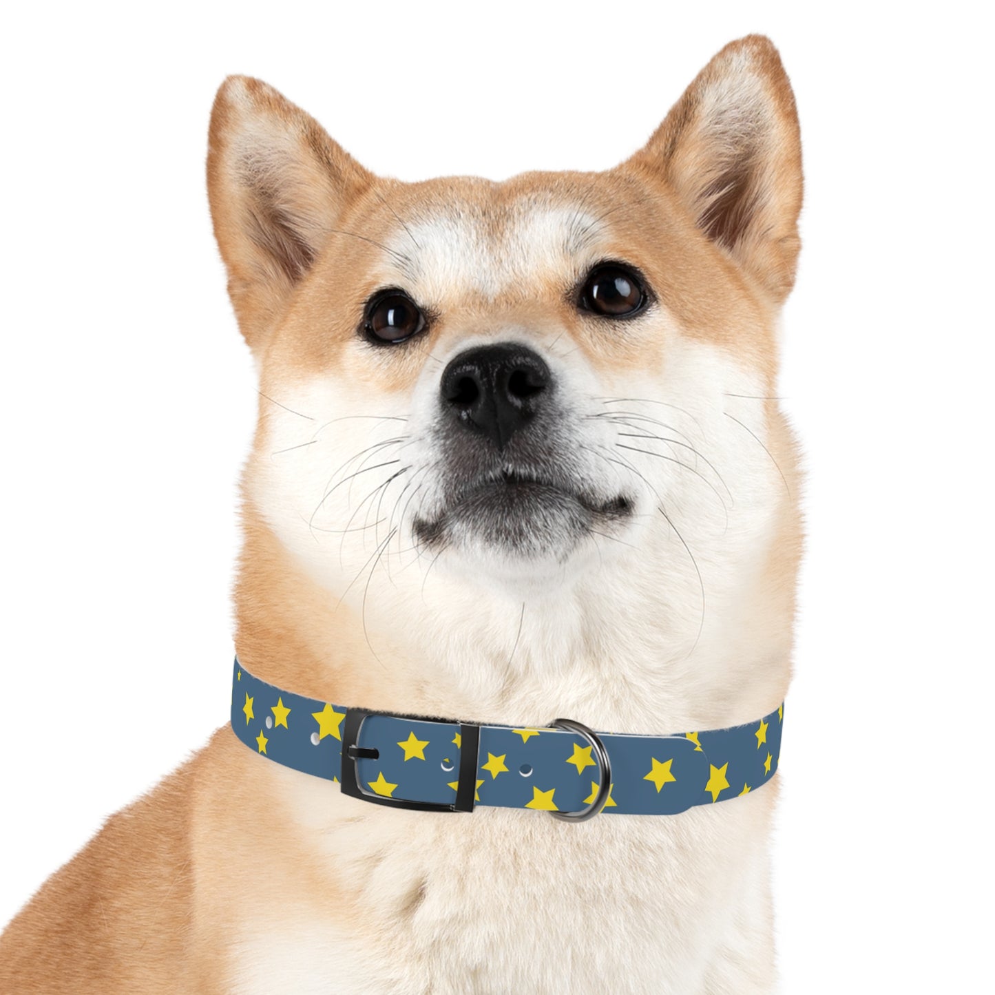 Shooting Stars Dog Collar
