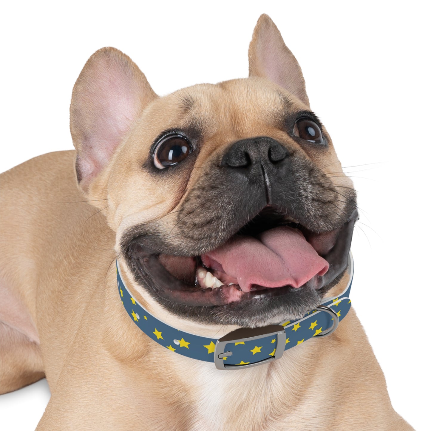Shooting Stars Dog Collar