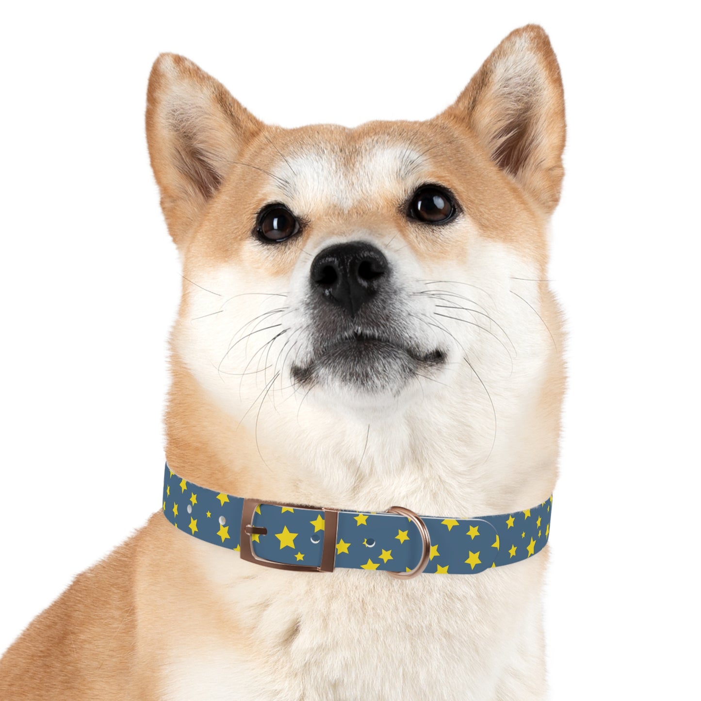 Shooting Stars Dog Collar