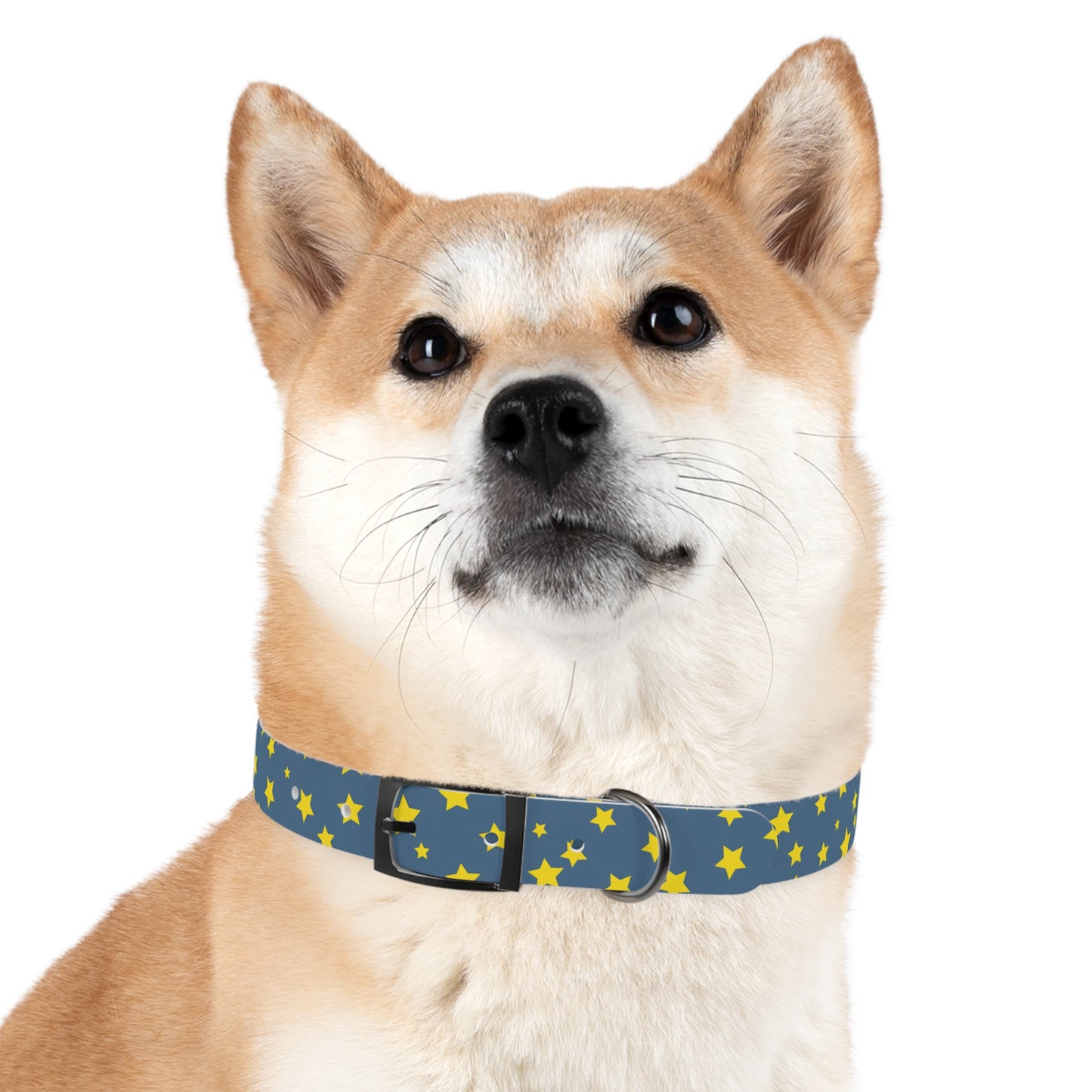 Shooting Stars Dog Collar