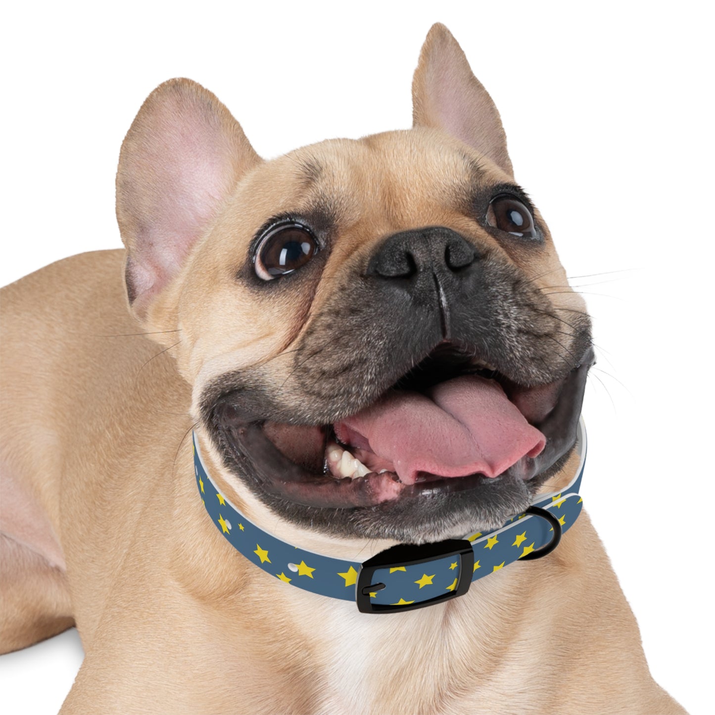 Shooting Stars Dog Collar