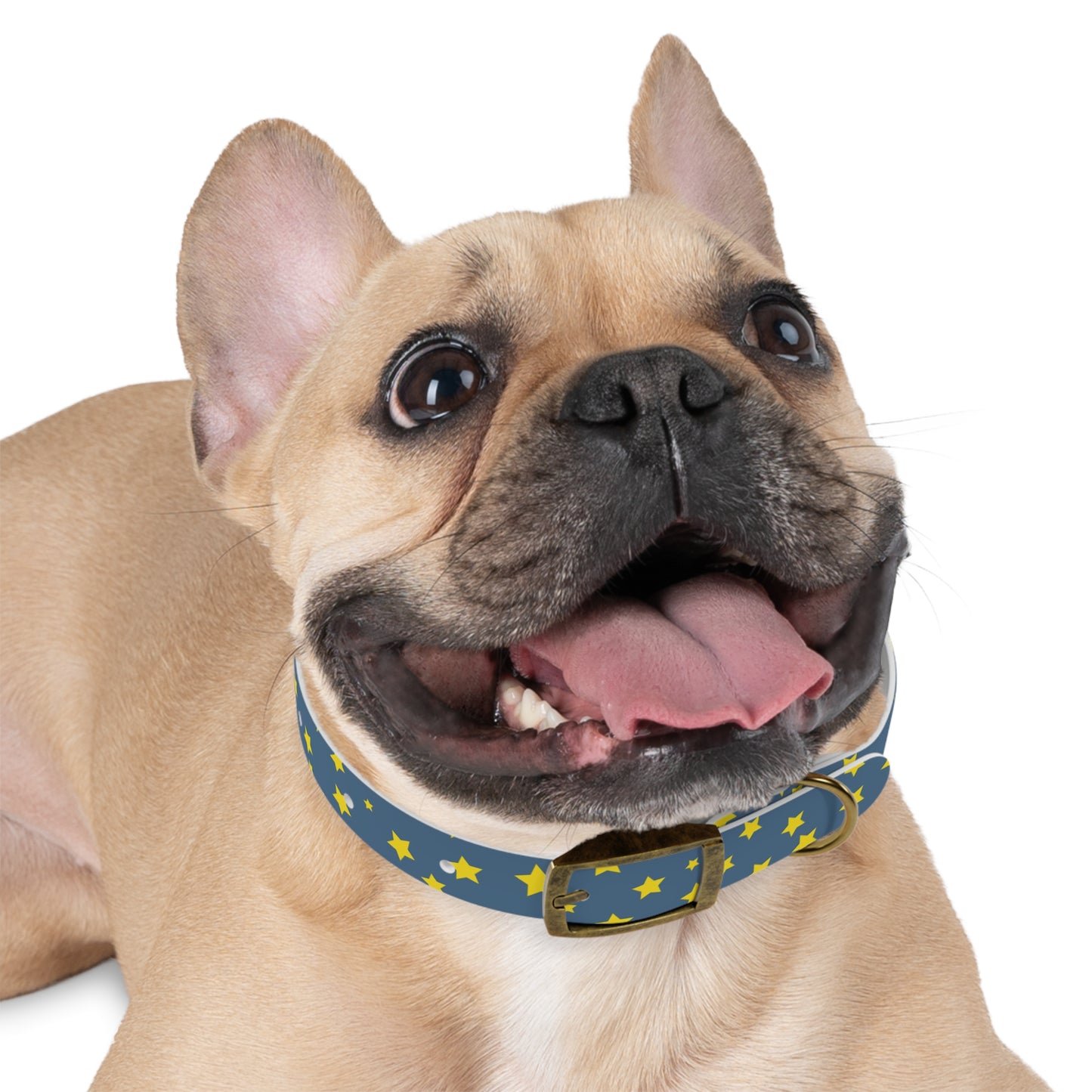 Shooting Stars Dog Collar