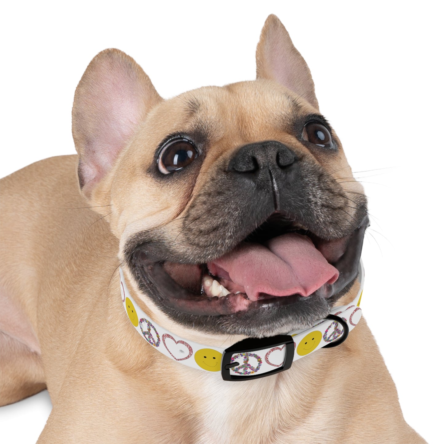 Peace Love & Joy Dog Collar